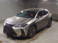 2021 Lexus UX