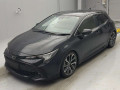 2019 Toyota Corolla Sports