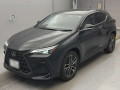 2024 Lexus NX