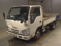 2019 Isuzu Elf Truck