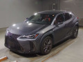 2020 Lexus UX