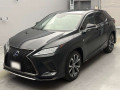 2021 Lexus RX