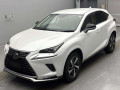 2021 Lexus NX
