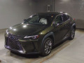 2021 Lexus UX