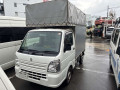 2021 Suzuki Carry Truck