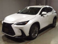 2023 Lexus NX