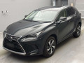 2019 Lexus NX