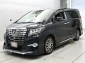2017 Toyota Alphard