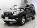 2011 Toyota Land Cruiser Prado