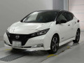 2022 Nissan Leaf
