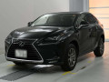 2019 Lexus NX