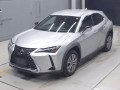 2021 Lexus UX