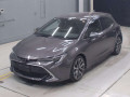 2021 Toyota Corolla Sports