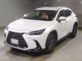 2024 Lexus NX