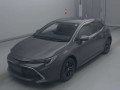 2021 Toyota Corolla Sports
