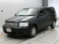 2010 Toyota Succeed Wagon