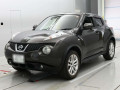2012 Nissan JUKE