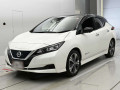 2021 Nissan Leaf