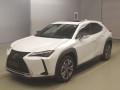 2021 Lexus UX