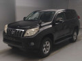 2010 Toyota Land Cruiser Prado