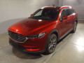 2019 Mazda CX-8