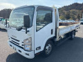 2019 Isuzu Elf Truck