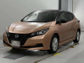 2021 Nissan Leaf