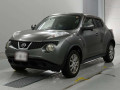 2010 Nissan JUKE