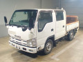 2009 Isuzu Elf Truck