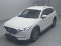 2019 Mazda CX-8