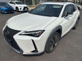 2019 Lexus UX