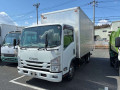 2019 Isuzu Elf Truck
