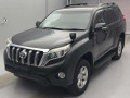 2013 Toyota Land Cruiser Prado