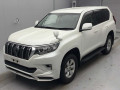 2019 Toyota Land Cruiser Prado