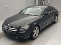 2011 Mercedes Benz Cls-Class