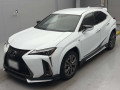 2019 Lexus UX
