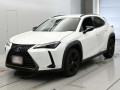 2021 Lexus UX