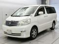 2007 Toyota Alphard G