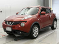 2011 Nissan JUKE