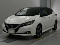 2020 Nissan Leaf