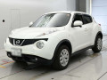 2014 Nissan JUKE