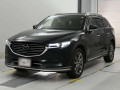 2019 Mazda CX-8
