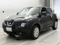 2011 Nissan JUKE