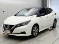 2019 Nissan Leaf