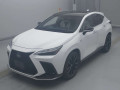 2023 Lexus NX