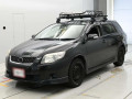 2010 Toyota Corolla Fielder