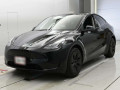 2024 Others MODEL Y