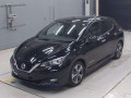 2021 Nissan Leaf