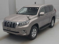 2023 Toyota Land Cruiser Prado