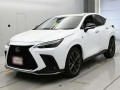 2021 Lexus NX